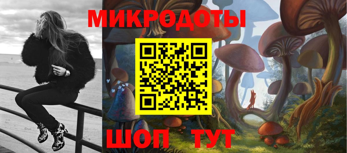 Камышин  Галлюциногенные грибы Cubensis  Вход с VPN 
